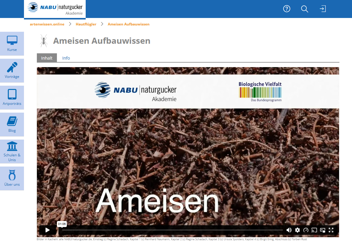Lernthema Ameisen Aufbauwissen der NABU|naturgucker-Akademie