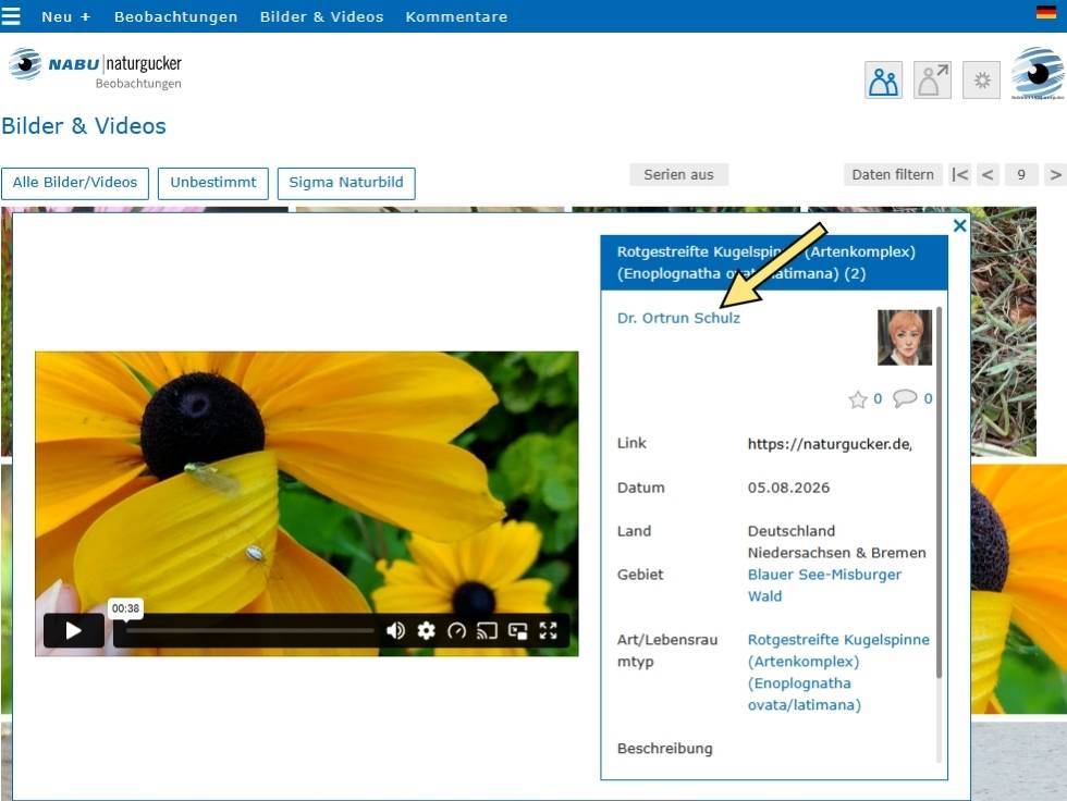 Urheberrechtskennzeichnung eines Videos auf dem Meldeportal von NABU|naturgucker