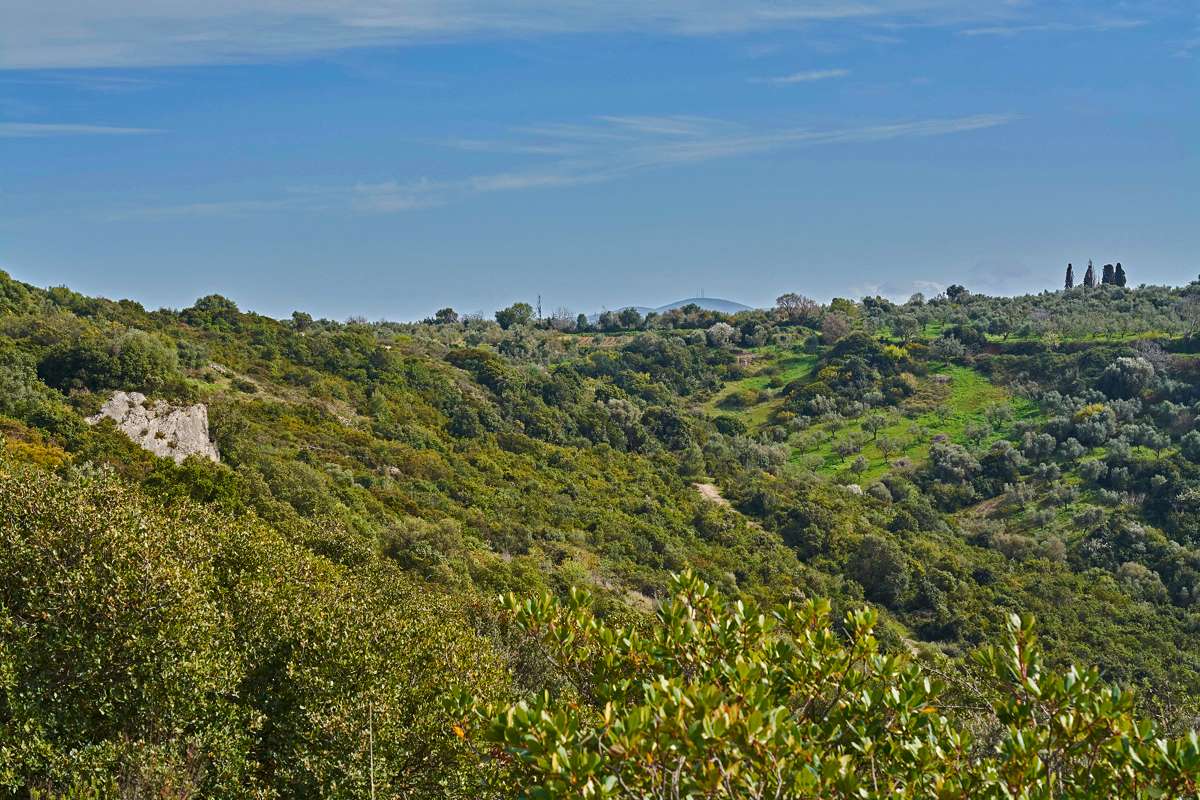 Macchie auf Kefalonia, (c) Stefan Munzinger